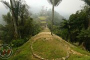 the lost city colombia